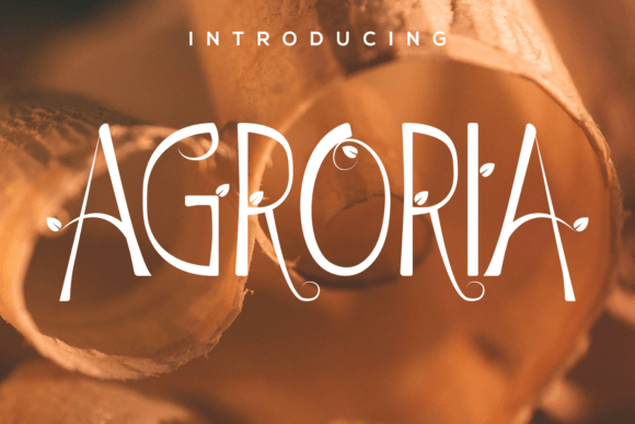 Agroria Display Font for Natural, Elegant Branding