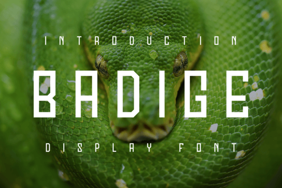 Badige: A Modern Display Font for Campaign Designers