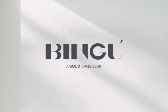 Bingu: A Display Typeface With Real Editorial Charm