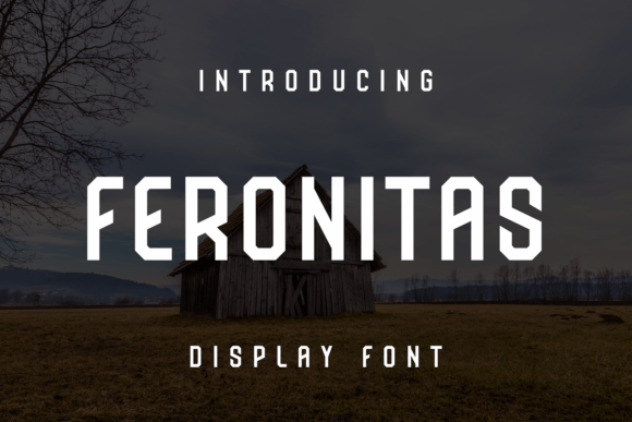 Feronitas Font: A Small Business Owner’s Branding Secret