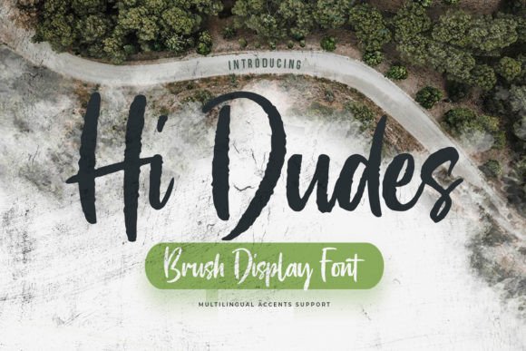 Hi Dudes: A Textured Brush Display Font for Bold Branding