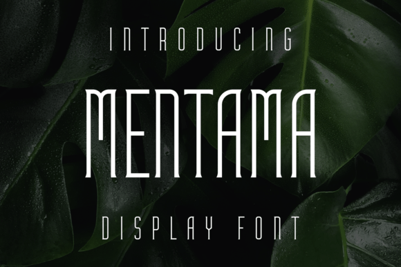 Mentama Display Font: A Marketer’s Secret for Bold Visuals