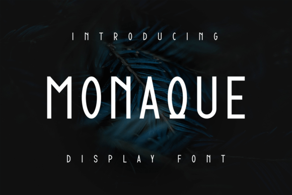 Monaque: A Display Font That Elevates Small Business Branding