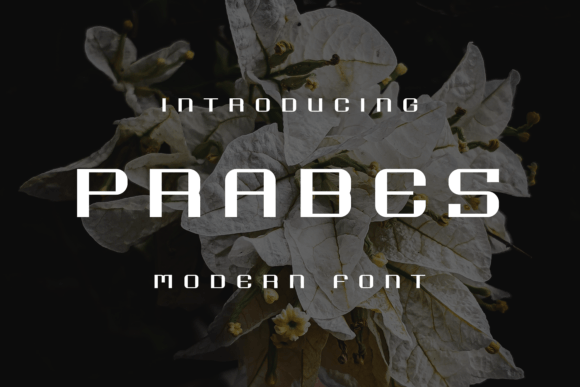 Prabes Display Font: A Maker’s Creative Companion